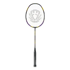 Ракетка бадм. TORRES Carbon PRO6, BD23521,для продв., стерж/обод из карбона,со струнами, фиол