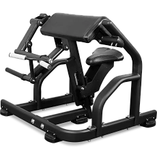 BRONZE GYM PL-1713 Бицепс